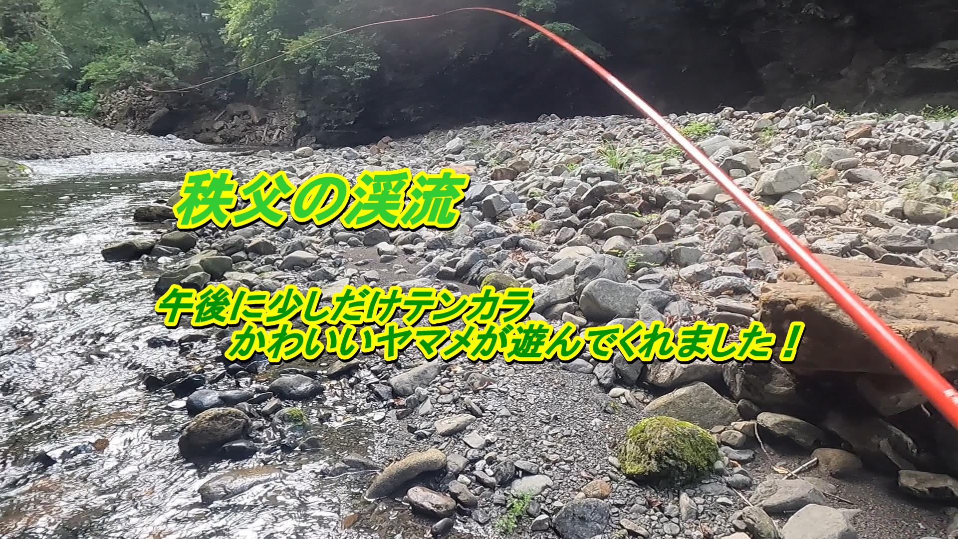 22年9月5日秩父の渓流 テンカラでヤマメと遊ぶ フィッシング０３８ブログ