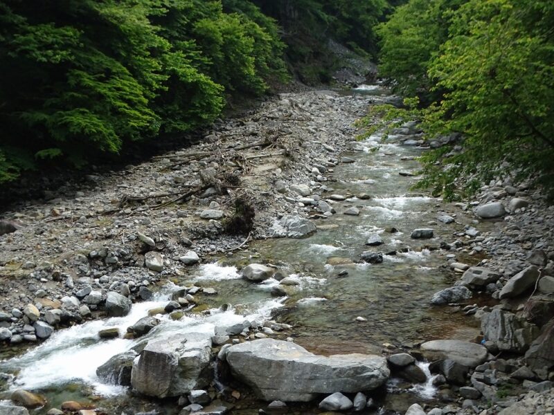 丹沢の渓流