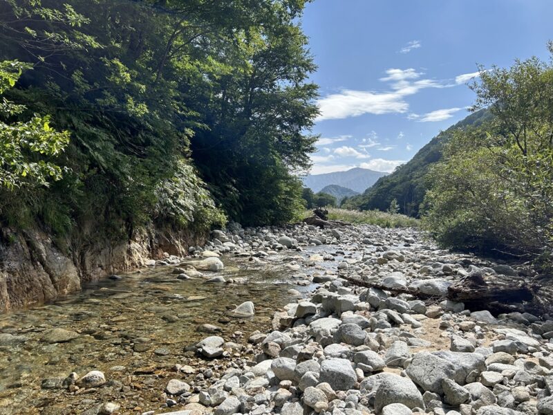山形県の渓流