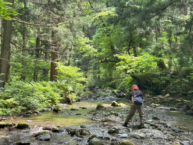 新潟県の渓流