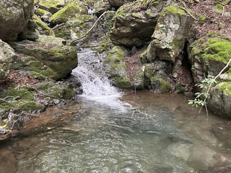 秩父の渓流