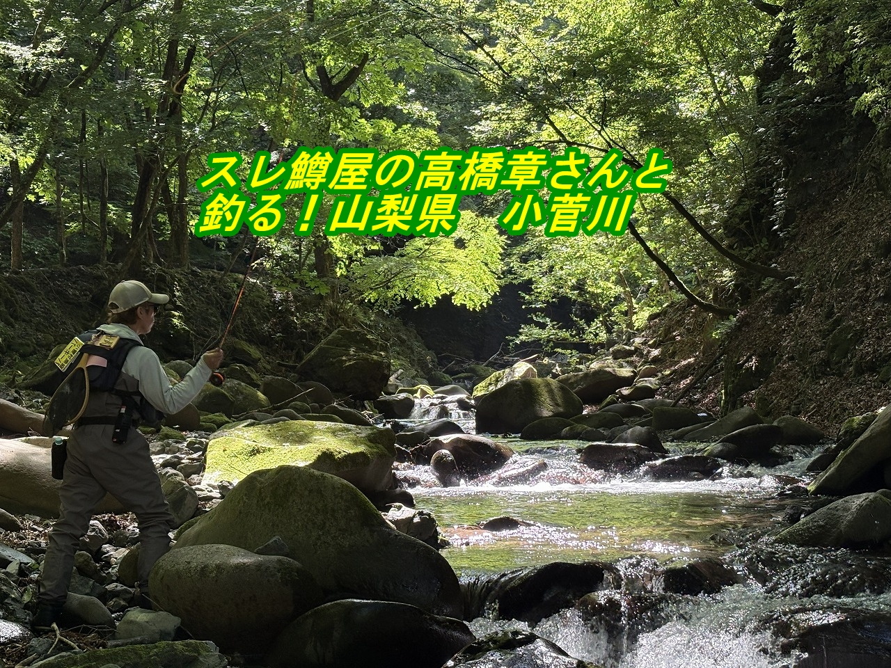 小菅川 テンカラ　フライフィッシング